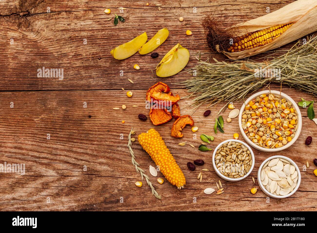 Dieta equilibrata per roditori domestici. Miscela assortita di grano e semi, erbe secche, frutta fresca. Vecchio sfondo in legno, vista dall'alto, spazio copia Foto Stock