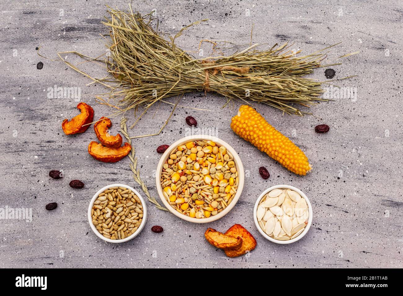 Dieta equilibrata per roditori domestici. Miscela assortita di grano e semi, erbe secche, frutta fresca. Sfondo grigio pietra cemento, vista dall'alto Foto Stock