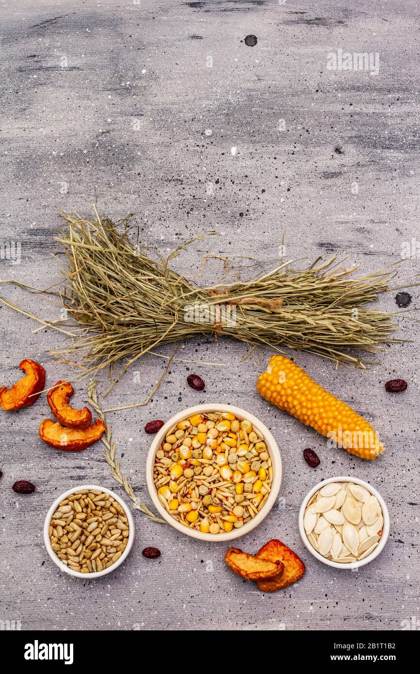 Dieta equilibrata per roditori domestici. Miscela assortita di grano e semi, erbe secche, frutta fresca. Sfondo grigio pietra cemento, vista dall'alto Foto Stock