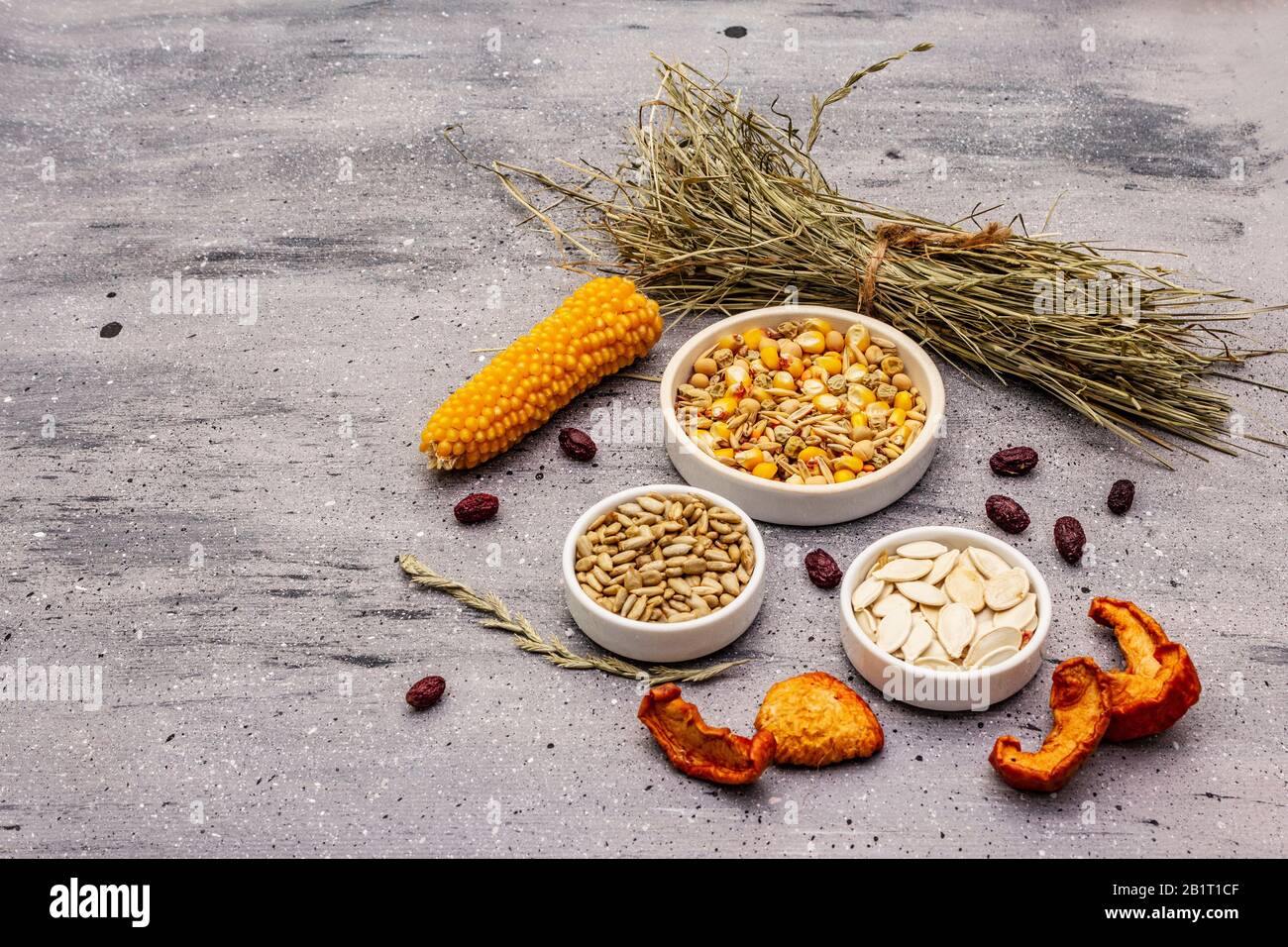 Dieta equilibrata per roditori domestici. Miscela assortita di grano e semi, erbe secche, frutta fresca. Sfondo grigio pietra cemento, copia spazio Foto Stock