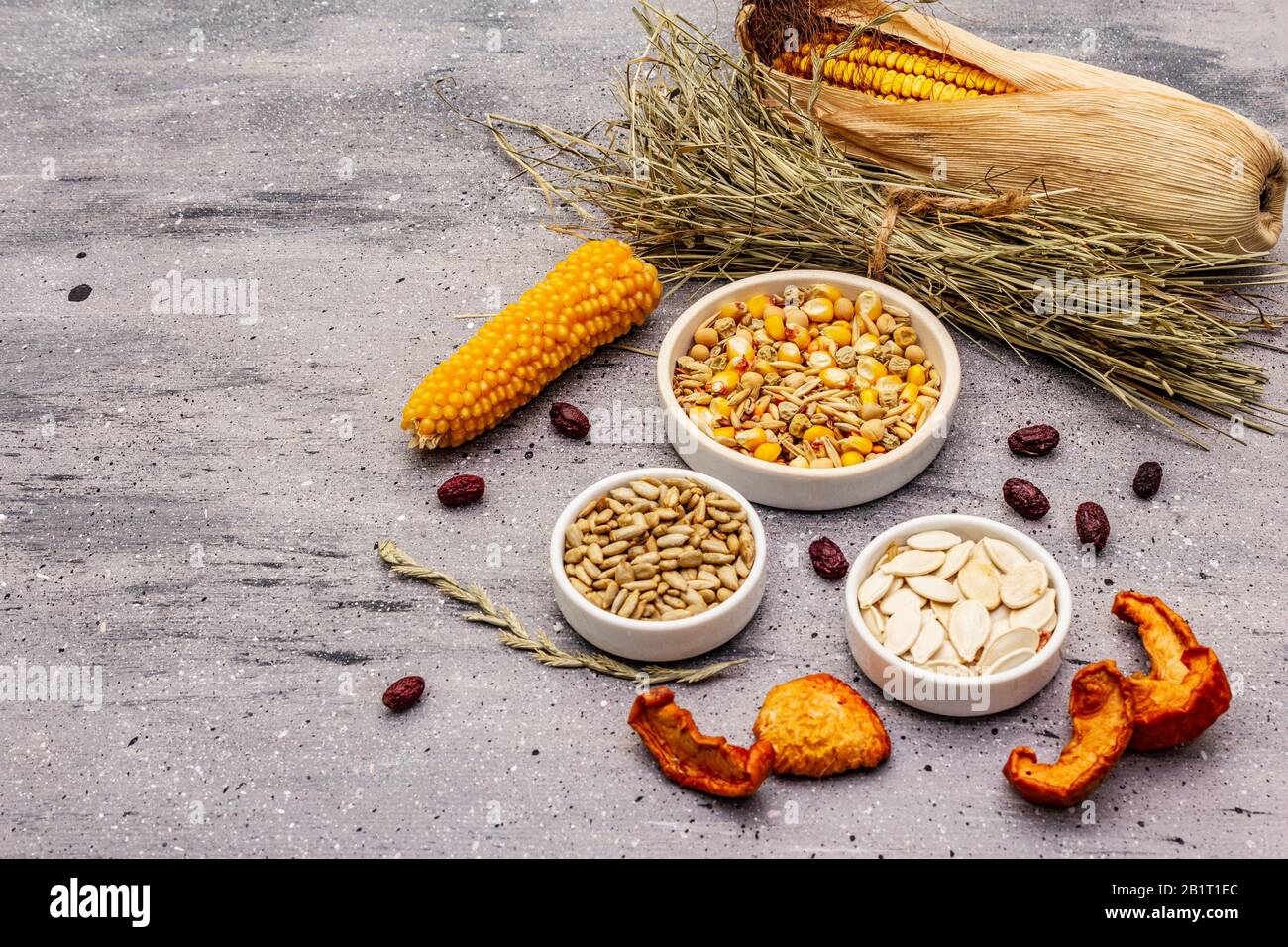 Dieta equilibrata per roditori domestici. Miscela assortita di grano e semi, erbe secche, frutta fresca. Sfondo grigio pietra cemento, copia spazio Foto Stock