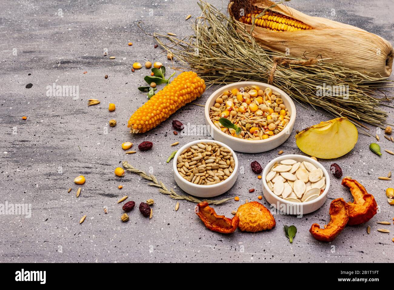 Dieta equilibrata per roditori domestici. Miscela assortita di grano e semi, erbe secche, frutta fresca. Sfondo grigio pietra cemento, copia spazio Foto Stock