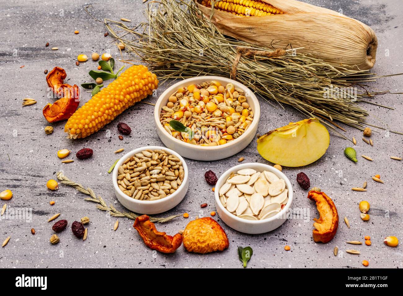 Dieta equilibrata per roditori domestici. Miscela assortita di grano e semi, erbe secche, frutta fresca. Sfondo grigio pietra cemento, primo piano Foto Stock
