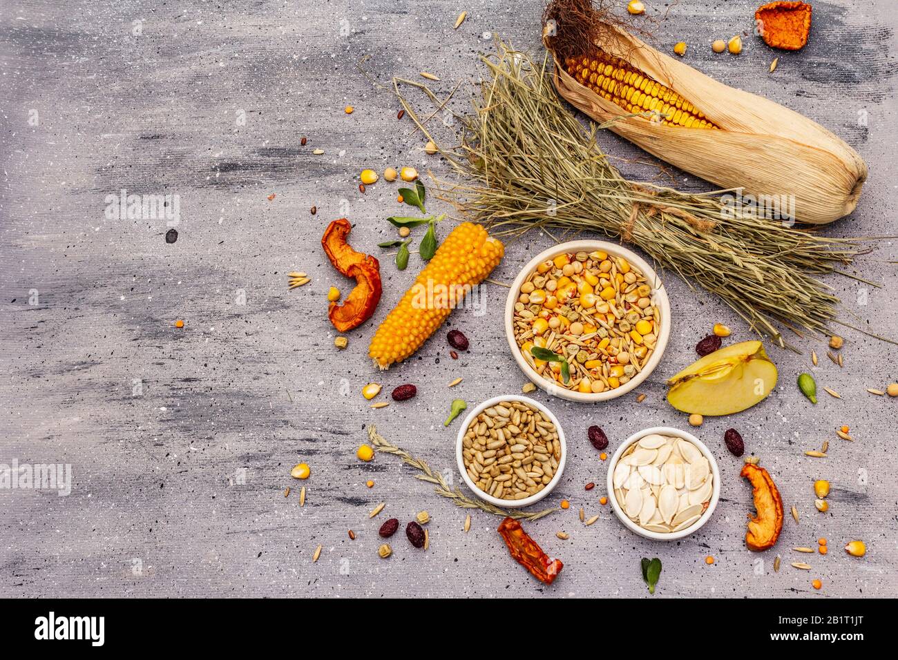 Dieta equilibrata per roditori domestici. Miscela assortita di grano e semi, erbe secche, frutta fresca. Sfondo grigio pietra cemento, vista dall'alto Foto Stock