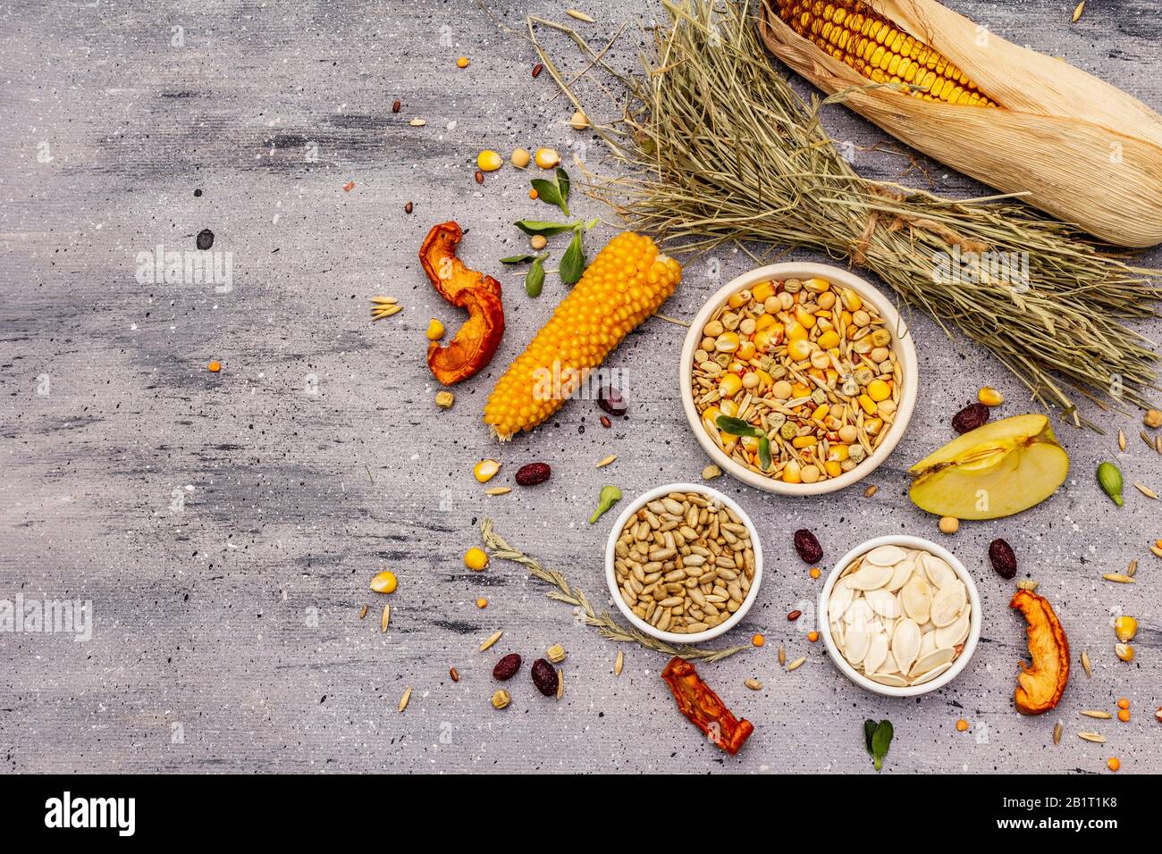 Dieta equilibrata per roditori domestici. Miscela assortita di grano e semi, erbe secche, frutta fresca. Sfondo grigio pietra cemento, vista dall'alto Foto Stock