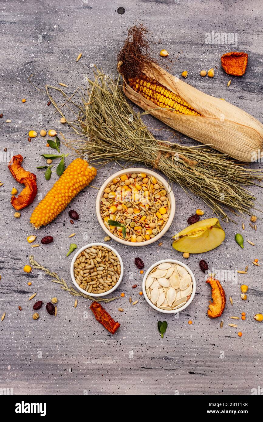 Dieta equilibrata per roditori domestici. Miscela assortita di grano e semi, erbe secche, frutta fresca. Sfondo grigio pietra cemento, vista dall'alto Foto Stock