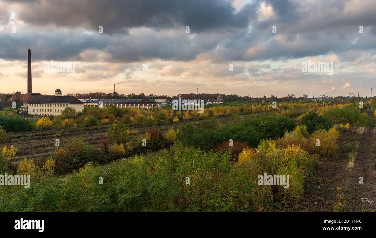 Duisburg, North Rhine-Westfalia, Germania - 09 novembre 2019: Vista sull'ex deposito merci a Duisburg-Wedau vicino al Sechi-Secht-Platte (Six Lak Foto Stock