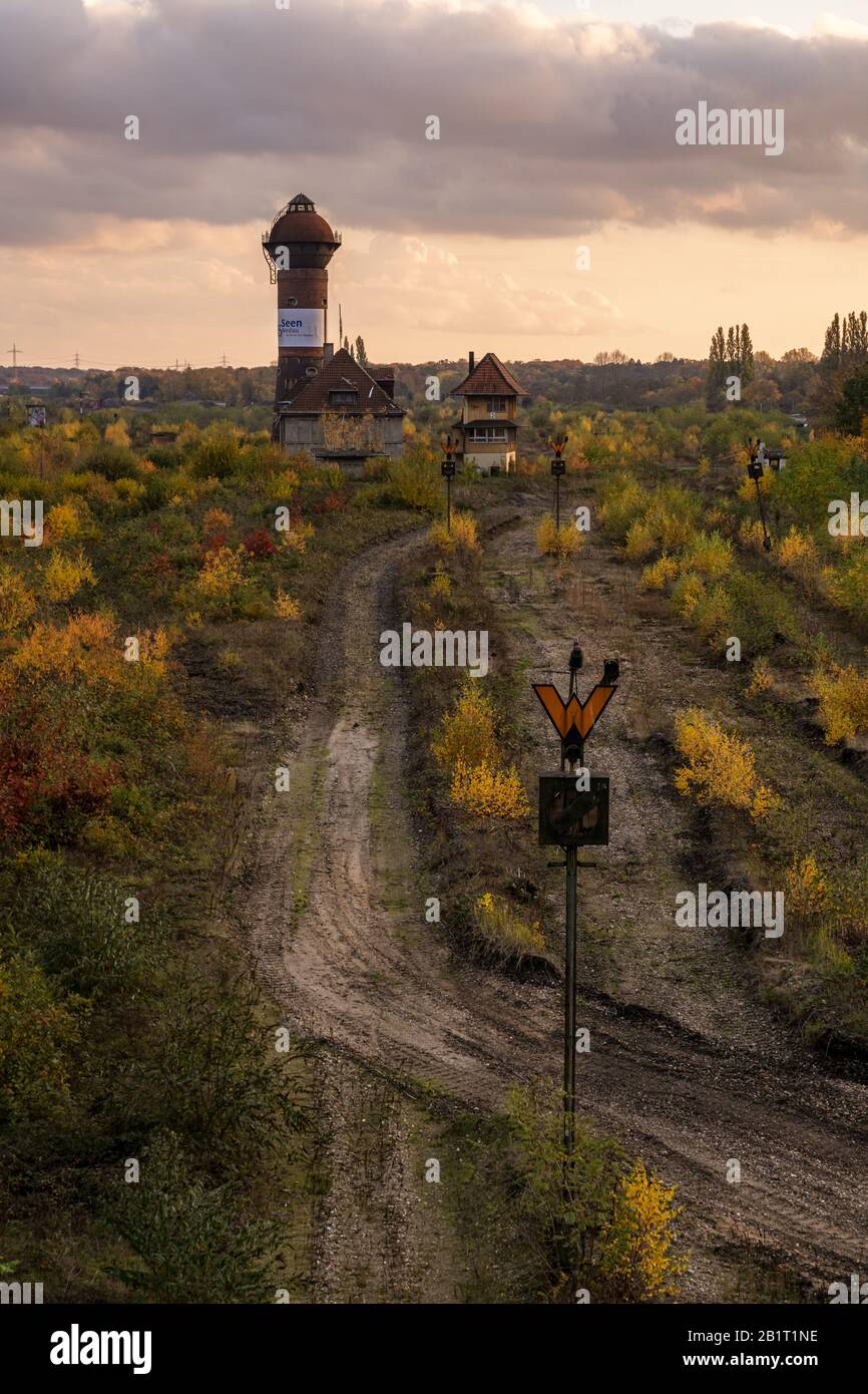 Duisburg, North Rhine-Westfalia, Germania - 09 novembre 2019: Vista sull'ex deposito merci a Duisburg-Wedau vicino al Sechi-Secht-Platte (Six Lak Foto Stock