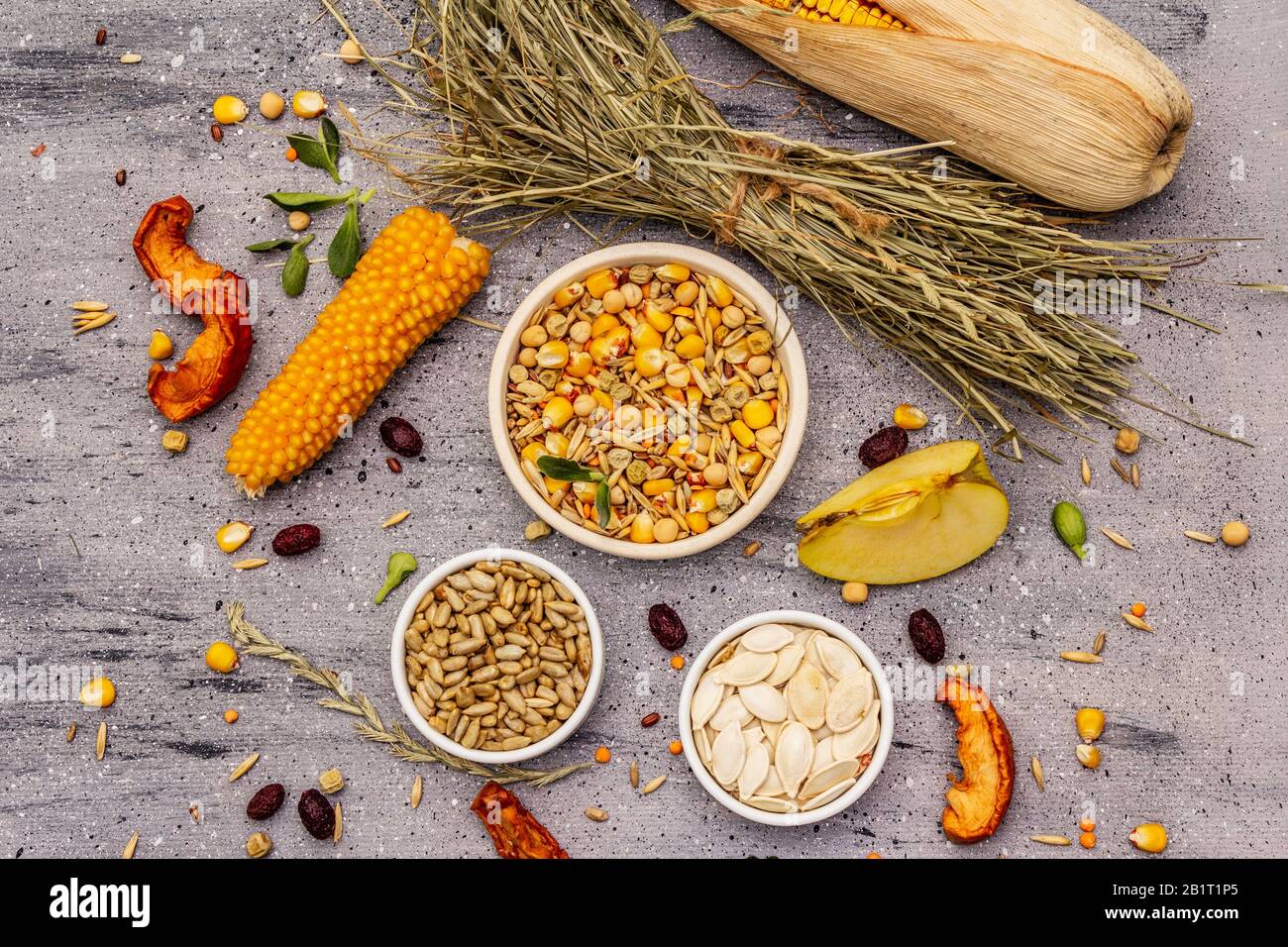 Dieta equilibrata per roditori domestici. Miscela assortita di grano e semi, erbe secche, frutta fresca. Sfondo grigio pietra cemento, vista dall'alto Foto Stock