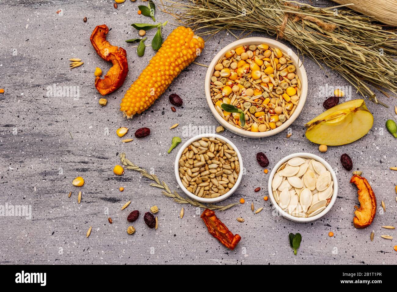 Dieta equilibrata per roditori domestici. Miscela assortita di grano e semi, erbe secche, frutta fresca. Sfondo grigio pietra cemento, vista dall'alto Foto Stock