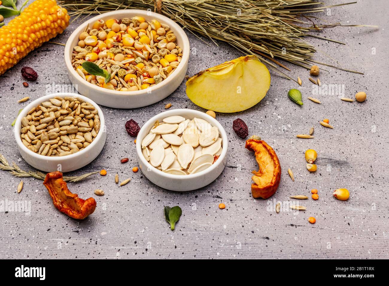 Dieta equilibrata per roditori domestici. Miscela assortita di grano e semi, erbe secche, frutta fresca. Sfondo grigio pietra cemento, primo piano Foto Stock