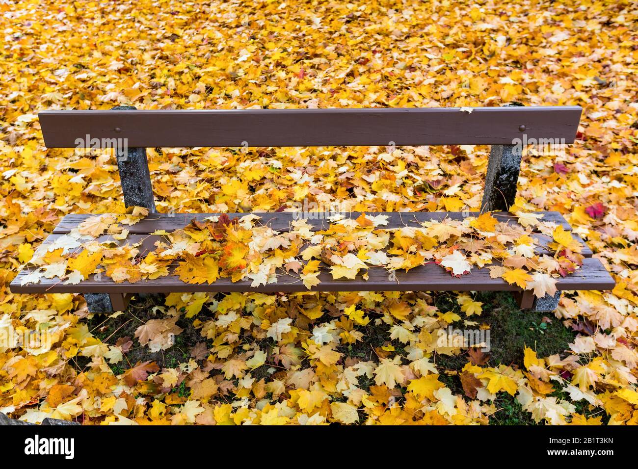 Parkbank mit Herbstlaub Foto Stock