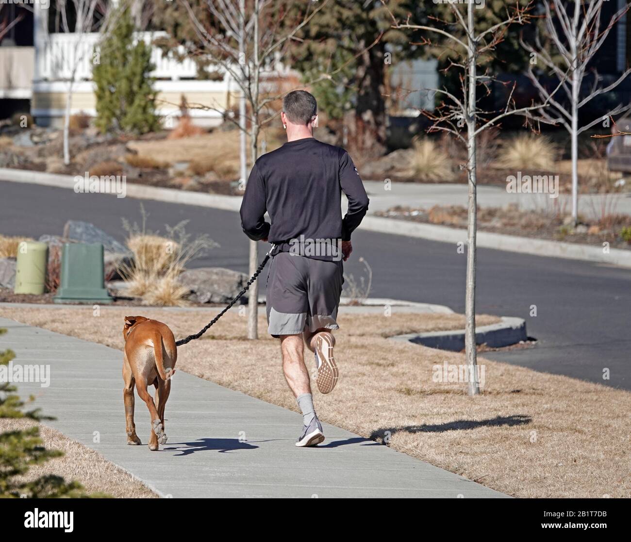 Un uomo che corre con il suo cane su un guinzaglio in una strada residenziale a Bend, Oregon. Foto Stock