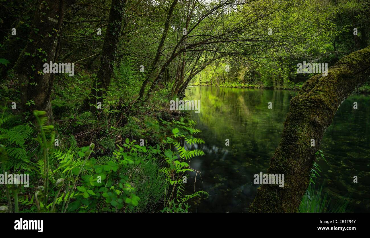 Ume fiume immagini e fotografie stock ad alta risoluzione Alamy