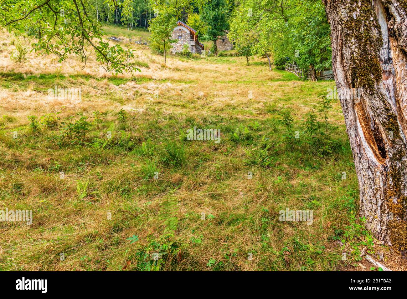 Vista ravvicinata del piccolo borgo montano di San Bernardino Verbano, Alpe Ompio, verbania, Italia Foto Stock
