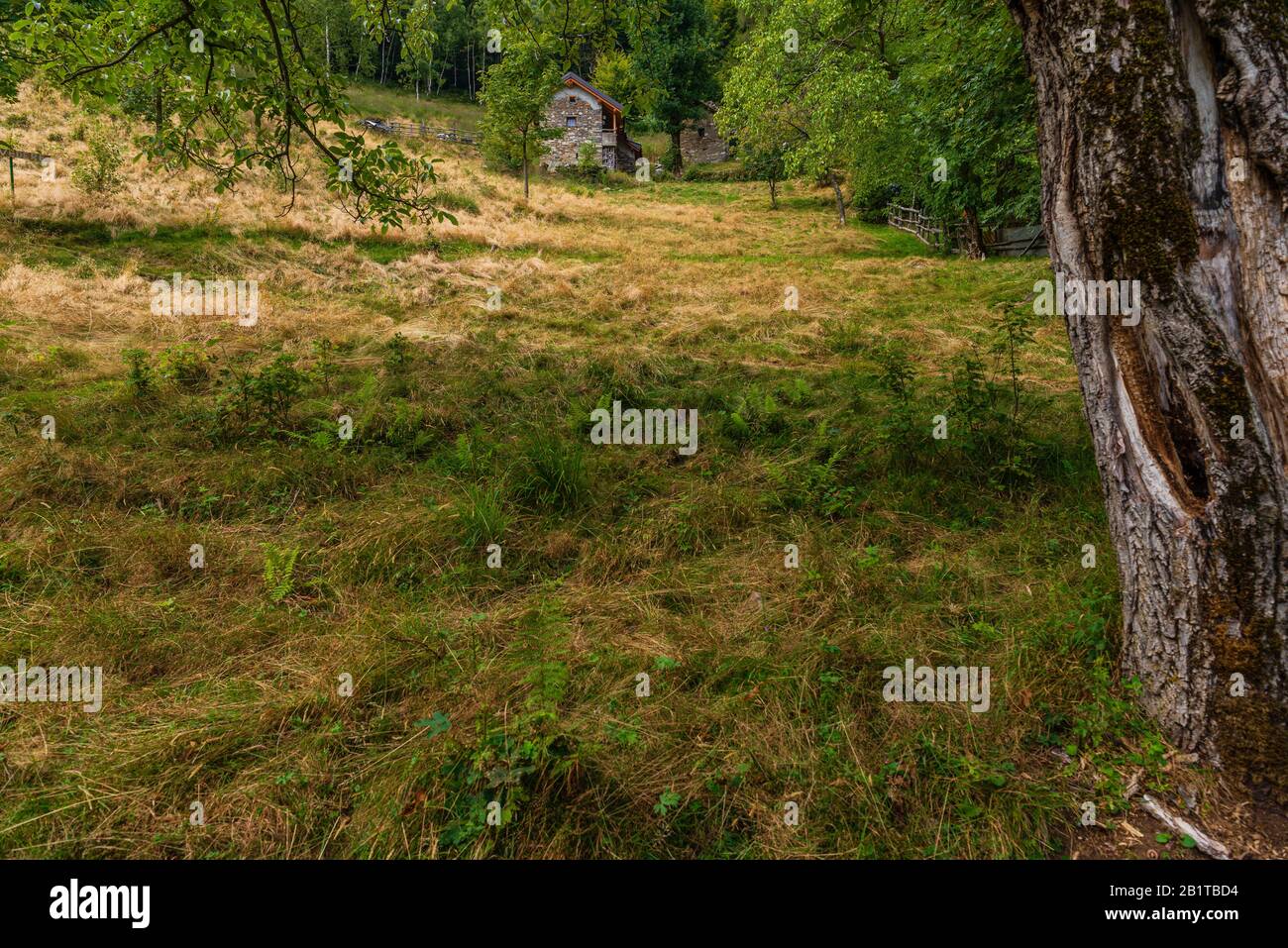 Vista ravvicinata del piccolo borgo montano di San Bernardino Verbano, Alpe Ompio, verbania, Italia Foto Stock