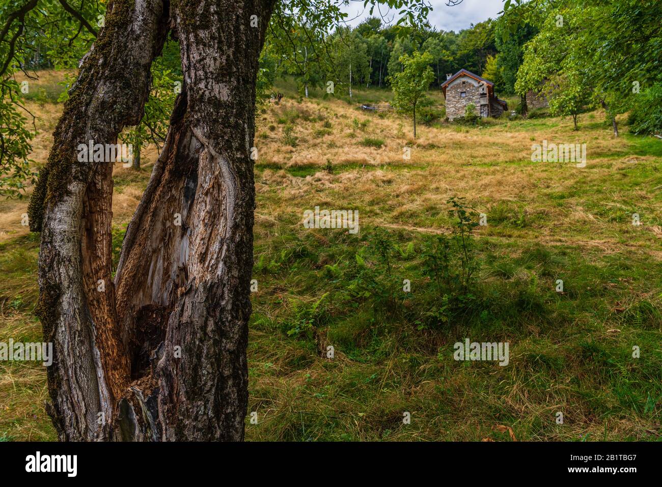 Vista ravvicinata del piccolo borgo montano di San Bernardino Verbano, Alpe Ompio, verbania, Italia Foto Stock
