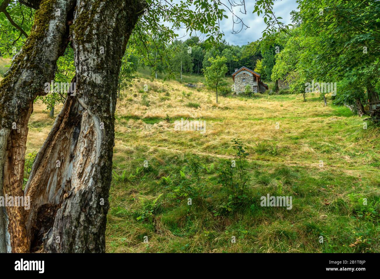 Vista ravvicinata del piccolo borgo montano di San Bernardino Verbano, Alpe Ompio, verbania, Italia Foto Stock