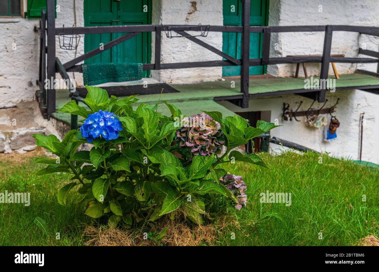 Vista ravvicinata del piccolo borgo montano di San Bernardino Verbano, Alpe Ompio, verbania, Italia Foto Stock