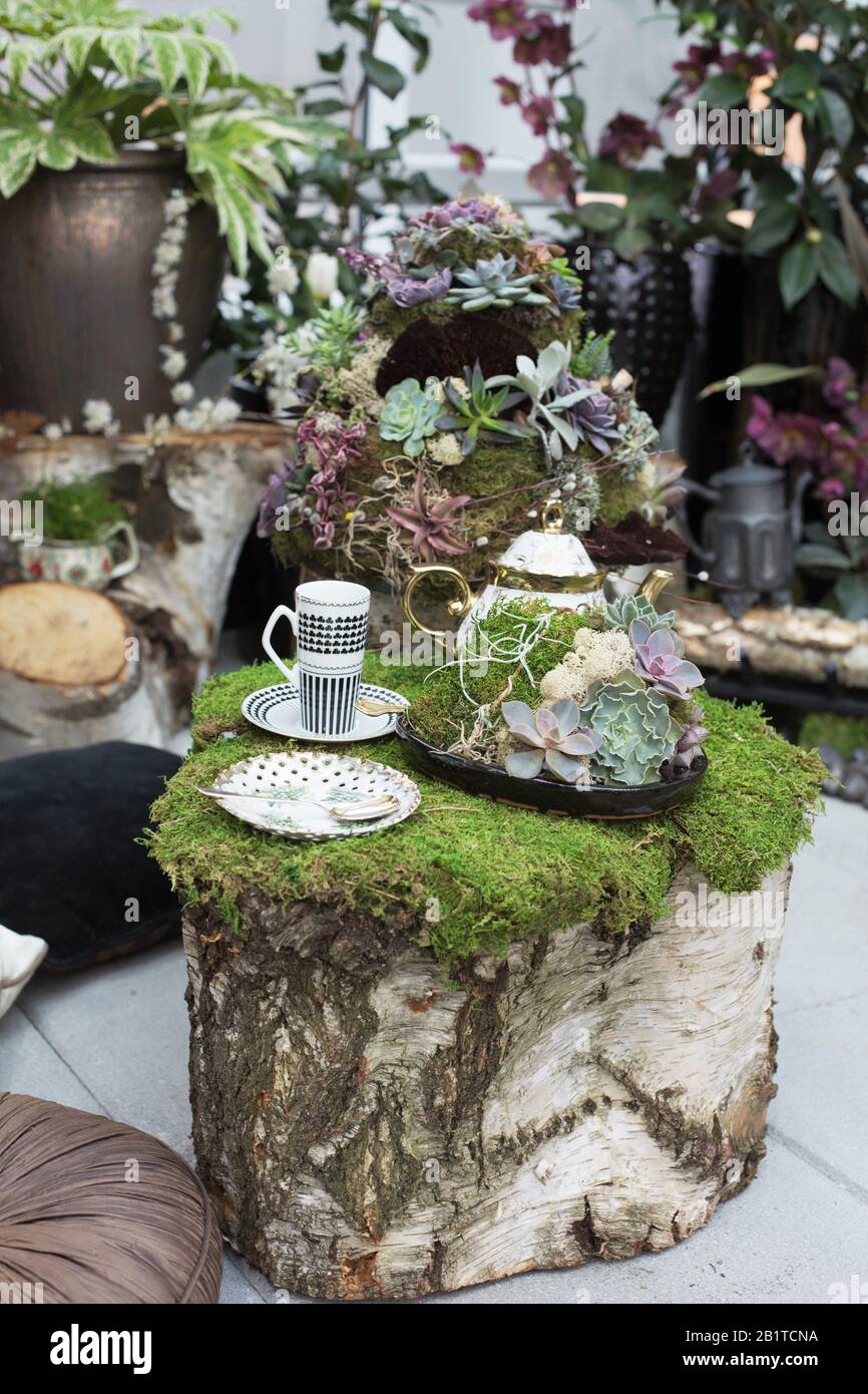Northwest Flower And Garden Festival A Seattle, Washington, 26 Febbraio 2020. Foto Stock