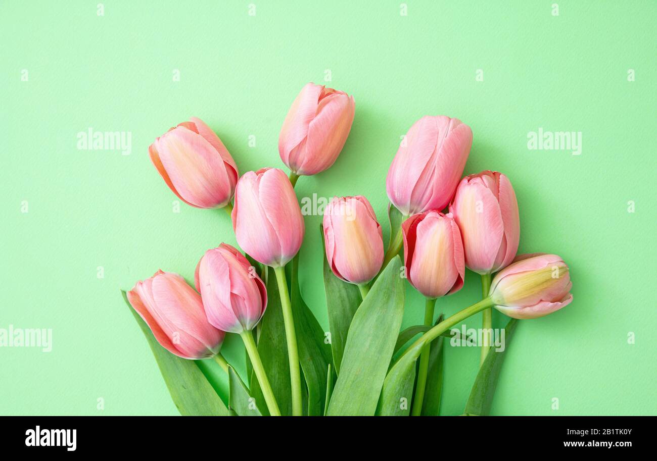 Primavera, pasqua. Tulipani rosa bouquet su sfondo verde, vista dall'alto. Modello di biglietto di auguri per donne di giorno o madri Foto Stock