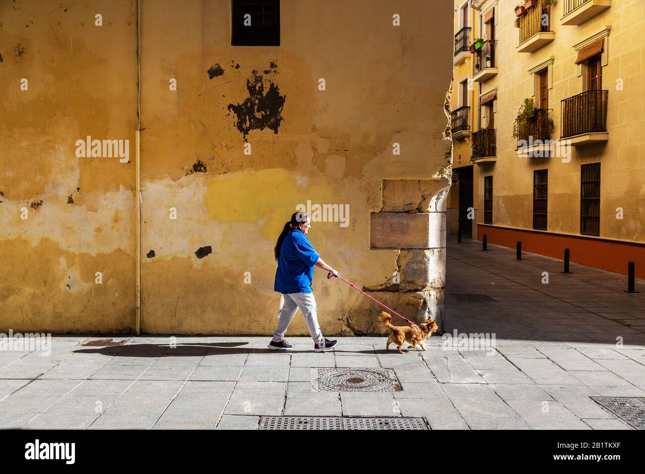 Una donna cammina il suo cane lungo una strada posteriore a Málaga, Spagna, Europa Foto Stock