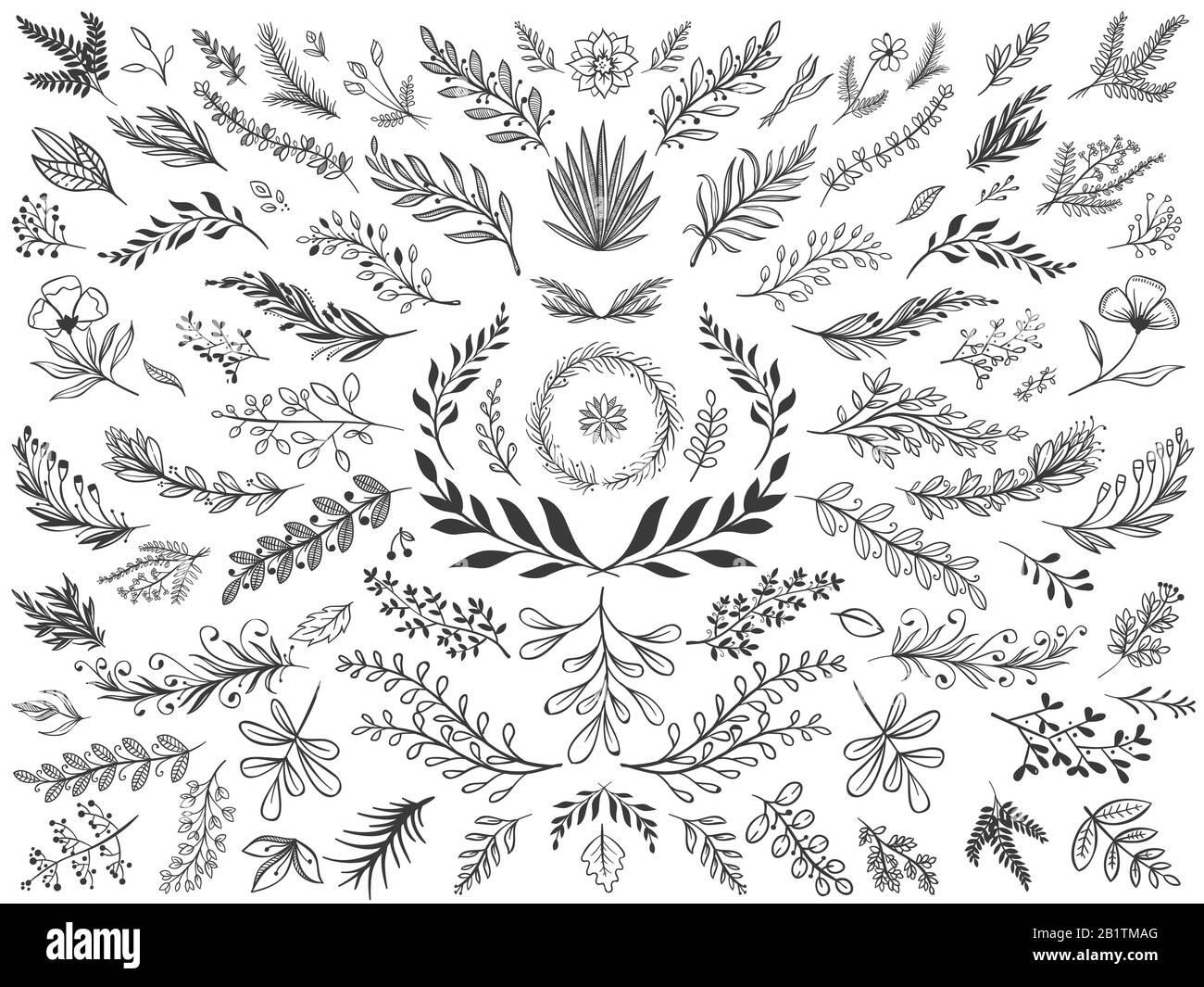 Foglie floreali disegnate a mano. Abbozzare rami ornamentali, fogli decorativi e set di illustrazioni vettoriali per fiori Illustrazione Vettoriale