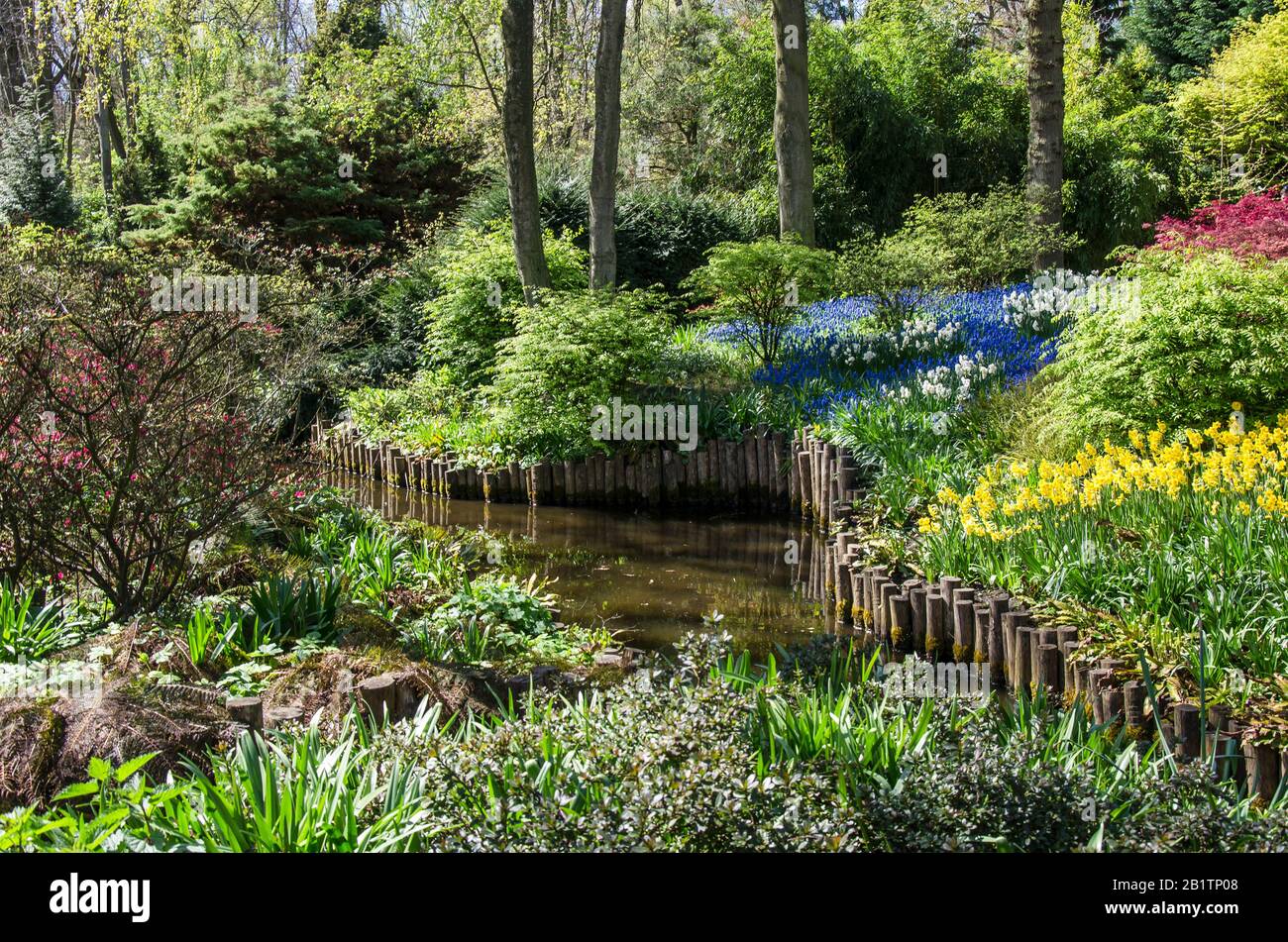 Paesaggio nel giardino - piccolo canale lungo splendidi fiori, cespugli e alberi nel parco Keukenhof, Paesi Bassi Foto Stock