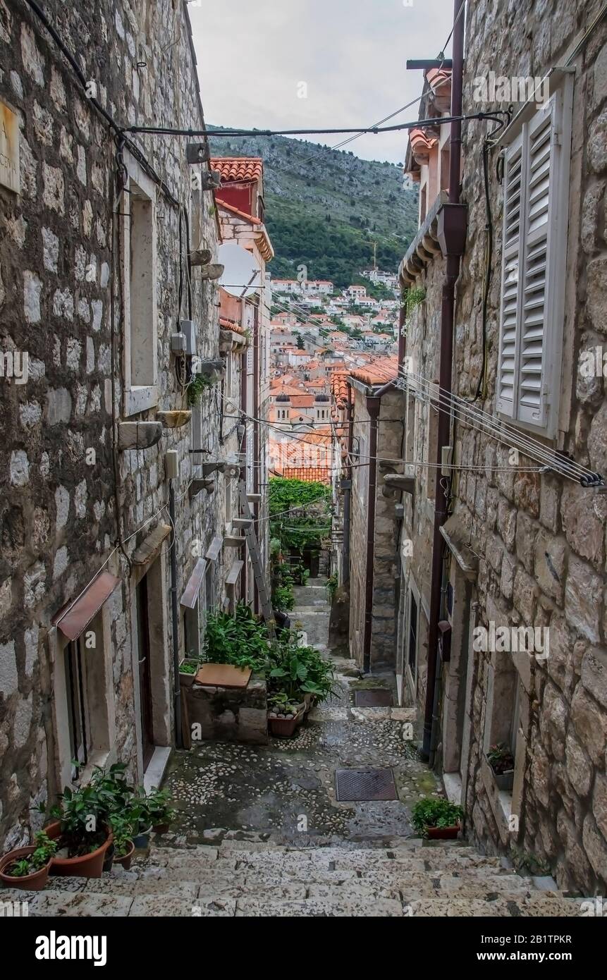 Vista sulla strada stretta con edifici in pietra, alberi, piante verdi e scale nella città vecchia di Dubrovnik. Fili che pendono da una tipica facciata croata. Foto Stock