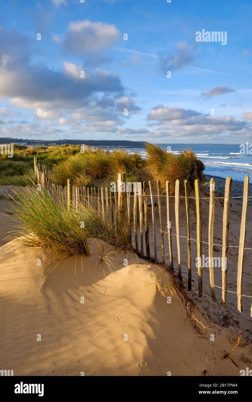Dune di sabbia sul bordo di Westward ho! Spiaggia, parte della costa settentrionale del Devon, di straordinaria bellezza e riserva della biosfera UNESCO, erba, sabbia, Regno Unito Foto Stock