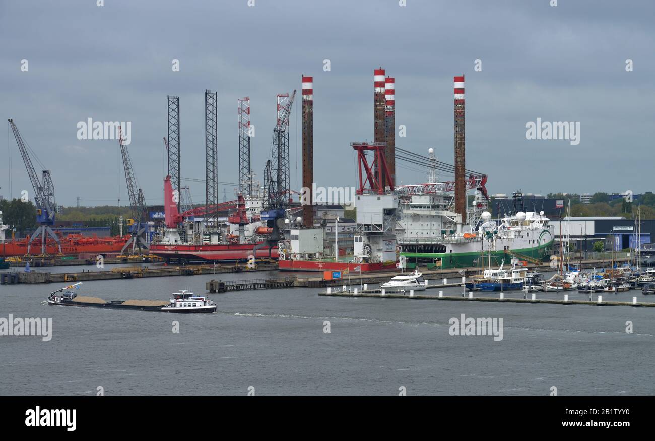 Damen Shipyards, Melissaweg, Amsterdam, Niederlande Foto Stock