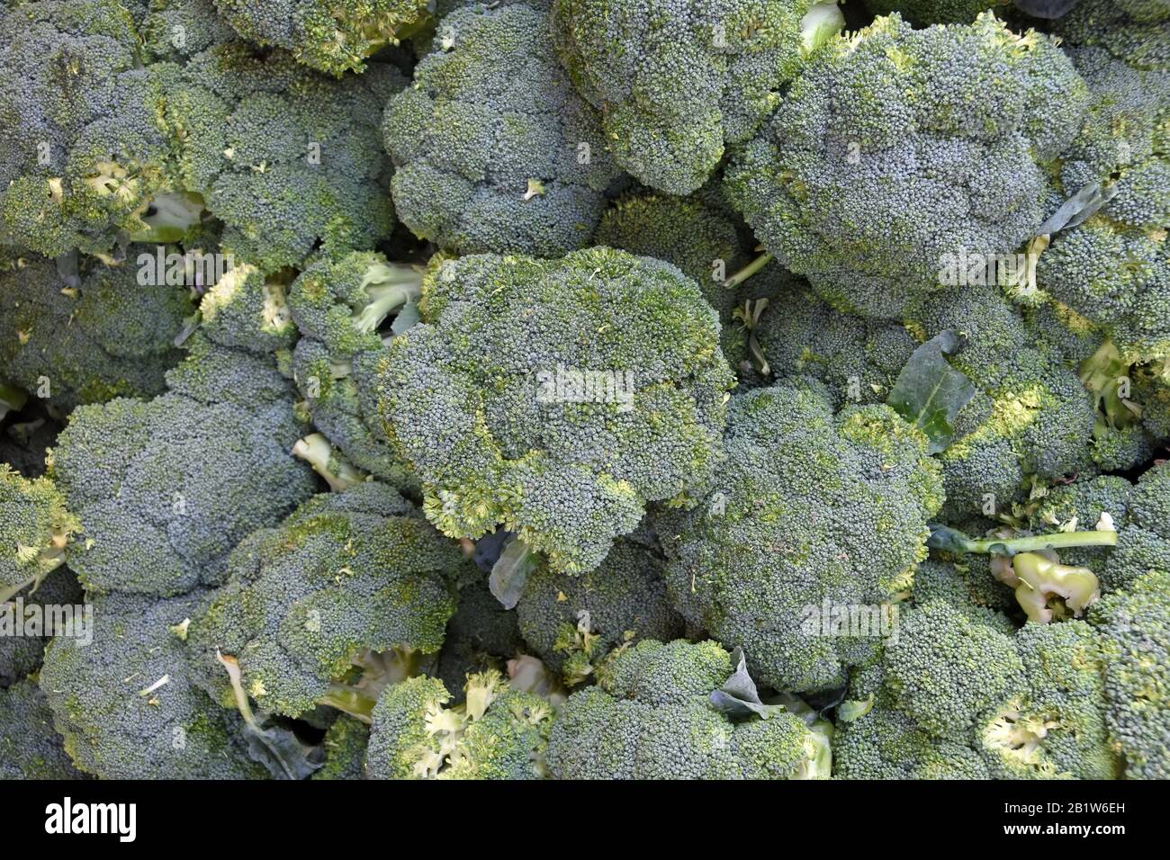 Broccoli in vendita sul mercato Foto Stock