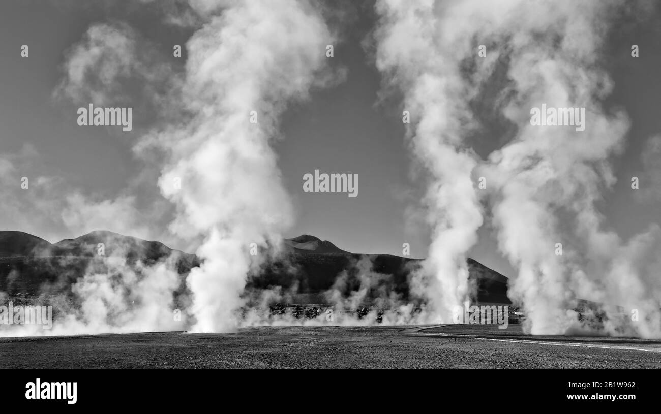 Colonne di vapore da geyser multipli sparare in alto in aria subito dopo l'alba, El Tatio Geyser Campo, Ande Montagne, deserto Atacama, Cile Foto Stock