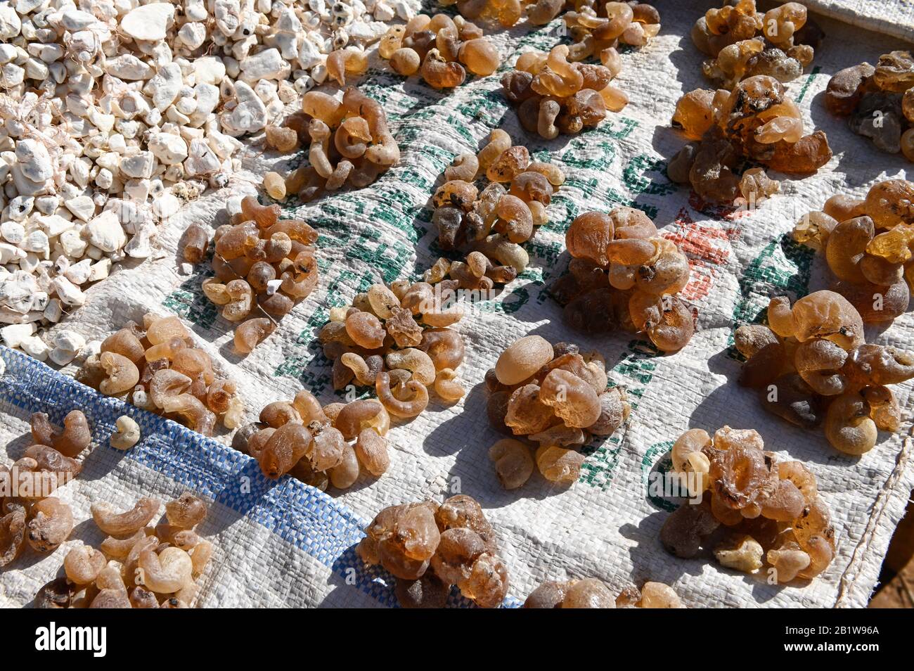 Gomma Arabica Immagini - Sfoglia 573 foto, vettoriali e video Stock