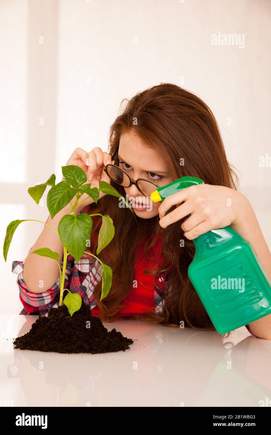 donna attraente botanico che spruzza un seedling Foto Stock