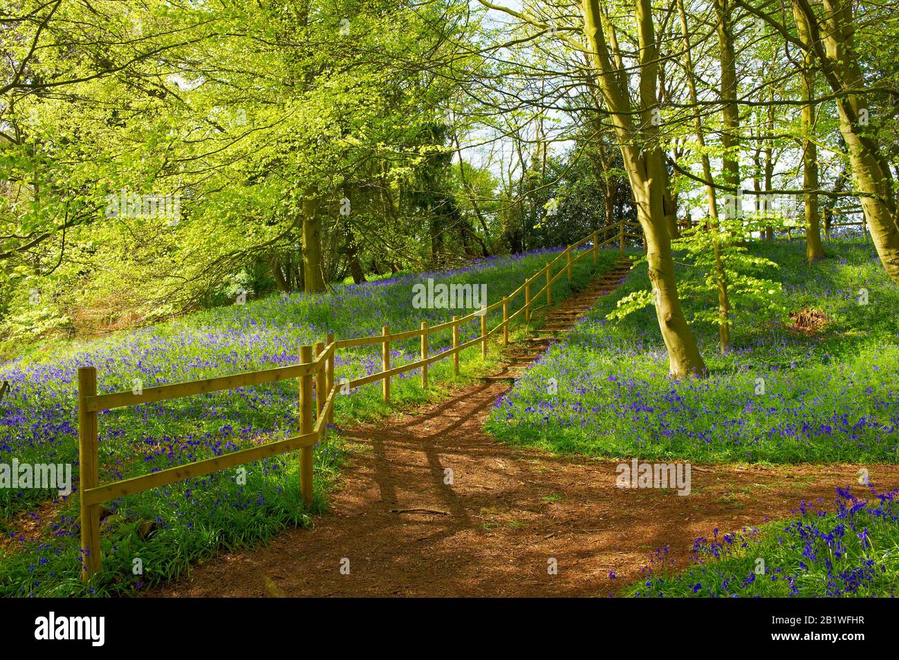 Sentiero di campagna a Arger Fen. Foto Stock