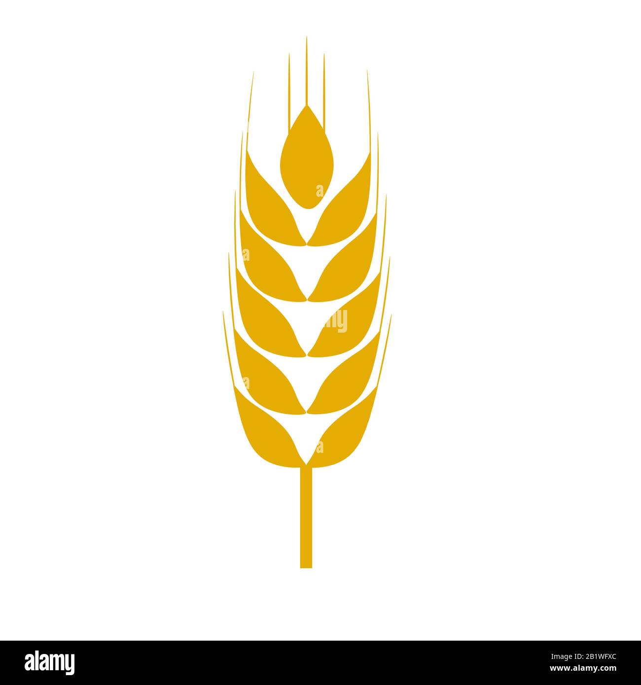 Illustrazione di un orecchio dorato di grano isolato su sfondo bianco. Foto Stock