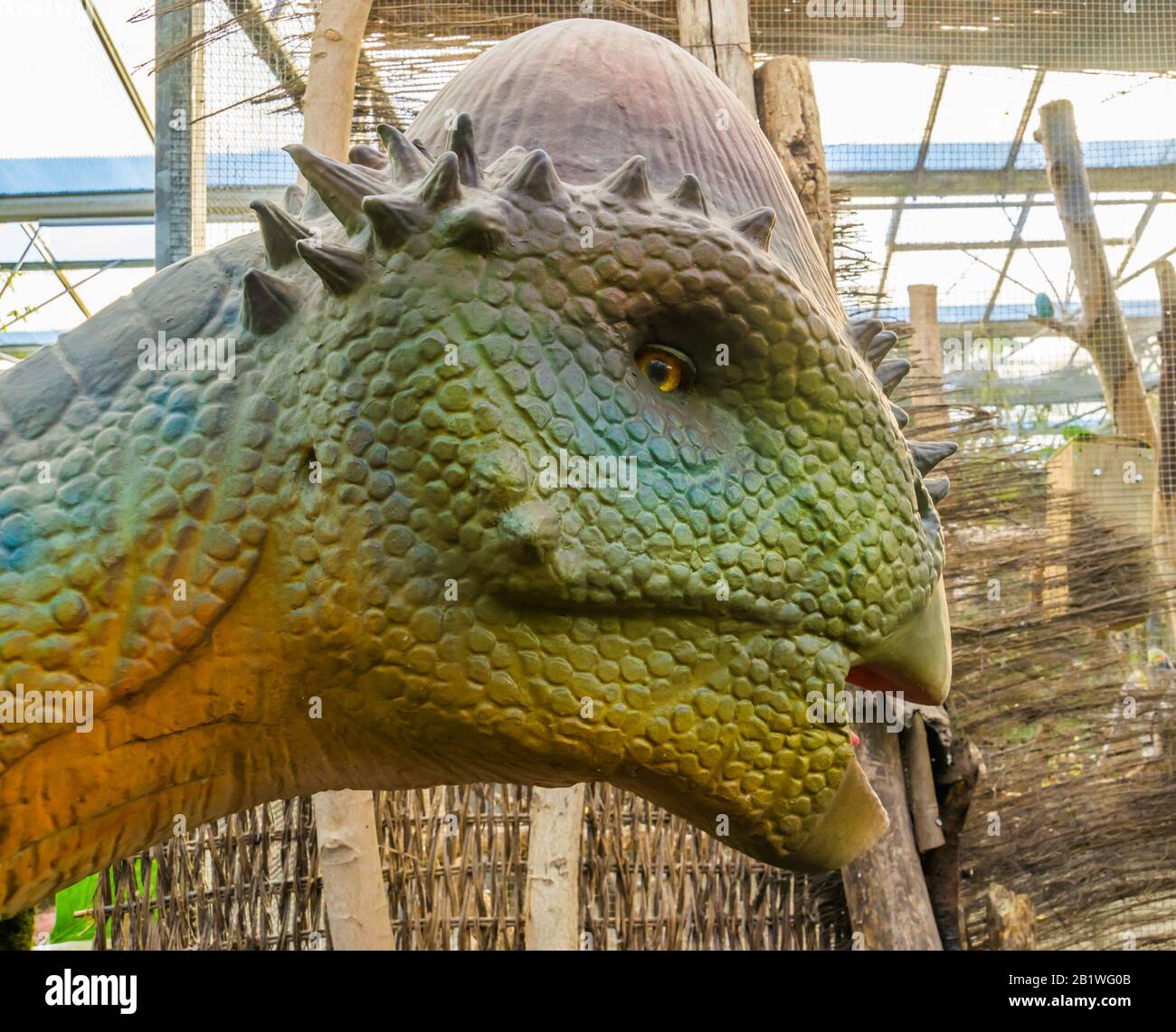 primo piano della faccia di una statua di replica di pachycephalosaurus, specie di dinosauro preistorico estinto Foto Stock