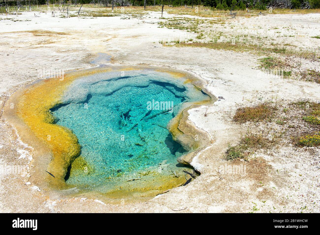 Yellowstone National Park, Wyoming, Usa: West Geyser A Biscuit Basin. Area termale che fa parte del Bacino del Geyser superiore. Foto Stock