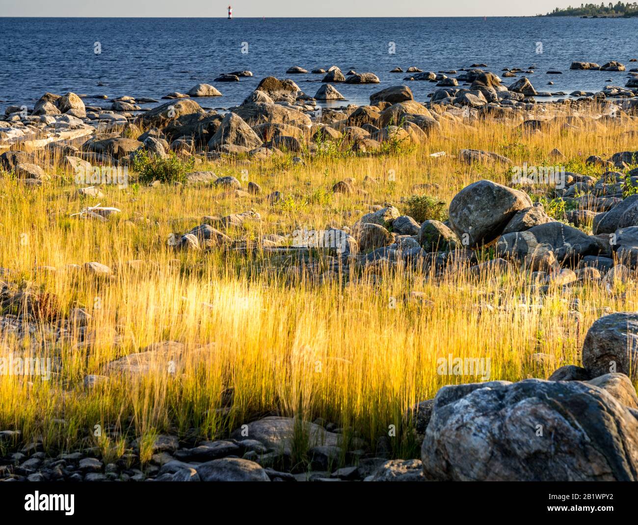 grandi pietre sulla costa del mar baltico con erba gialla una giornata di sole autunno con orizzonte blu nero mare Foto Stock