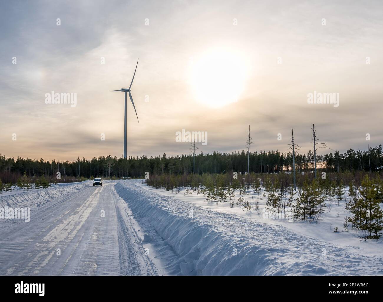 foto di mulino a vento, auto su strada diritta e pochi pini morti nella foresta d'inverno, cielo blu, soleggiato Foto Stock