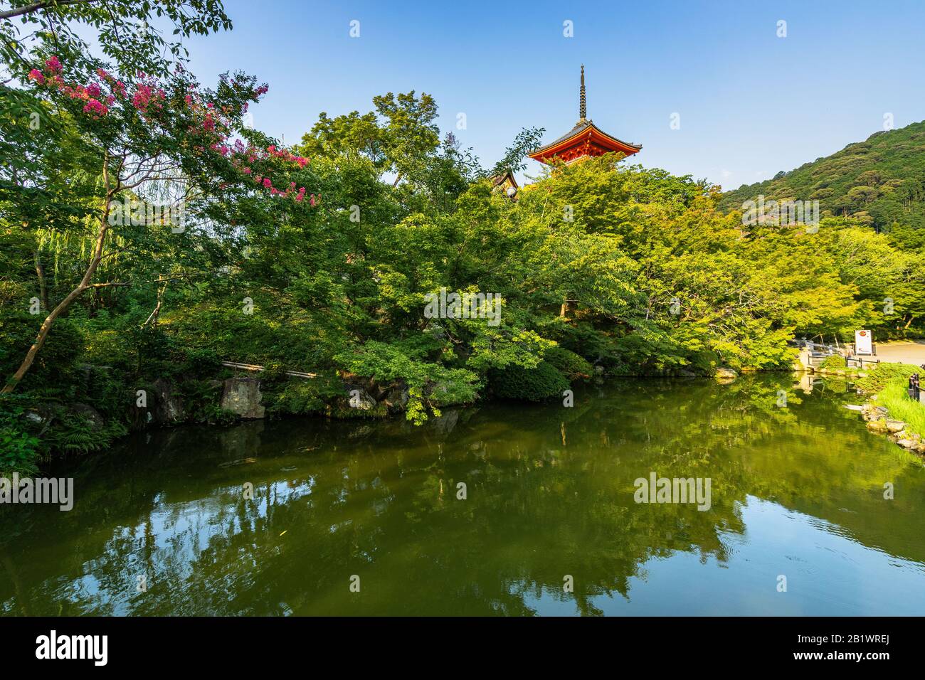 Un piccolo stagno idilliaco situato sotto il tempio di Kiyomizudera, Kyoto, Giappone Foto Stock