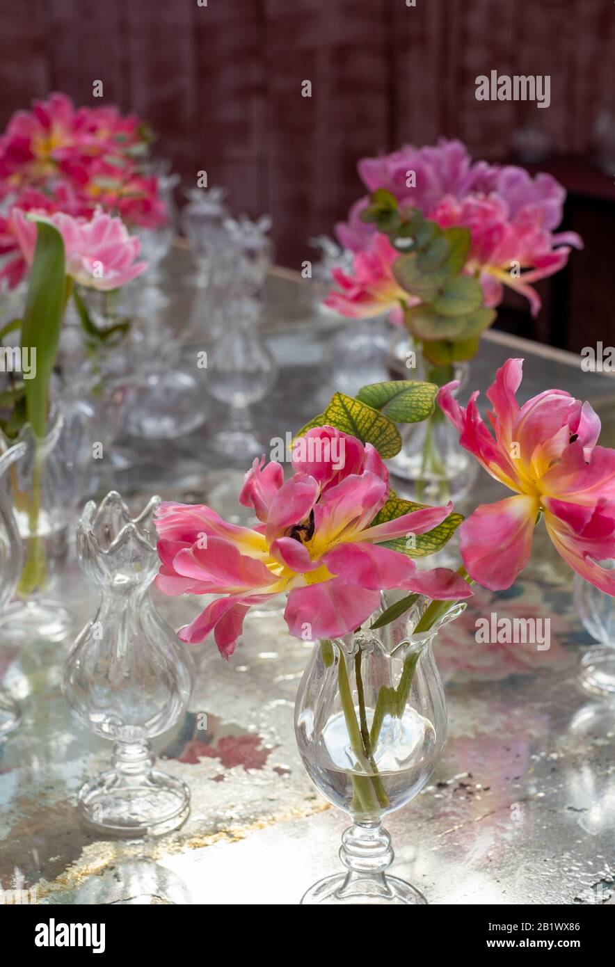 Tavolo decorato con fiori rosa azalea in vasi di cristallo di vetro. Foto Stock