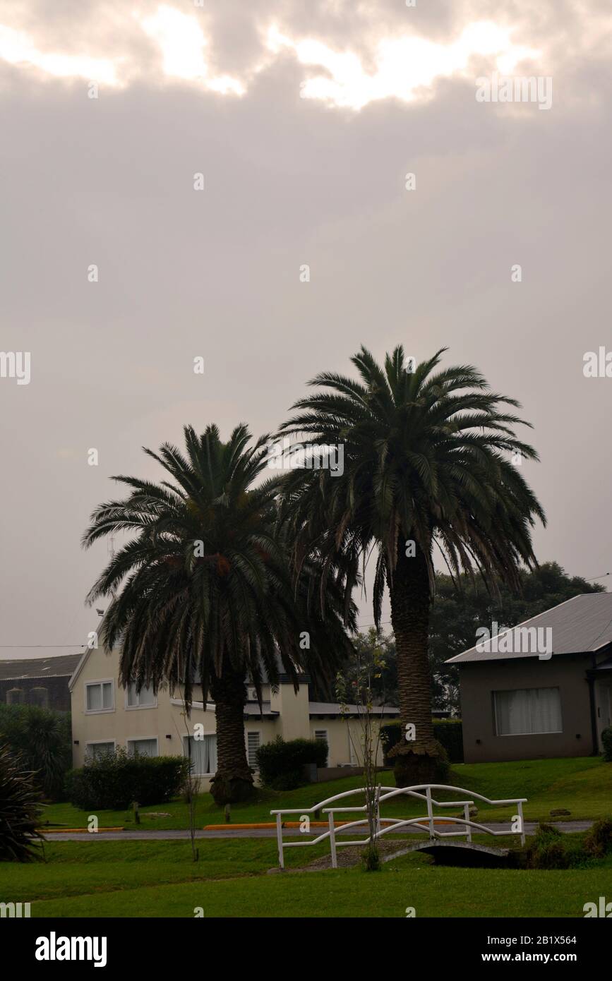 Aires de campo pampeano Foto Stock