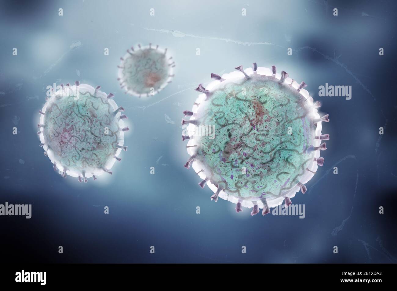 Covid19 virus mondiale pandemico dell'RNA a filamento singolo virus del coronavirus infetta uccelli e molti mammiferi, tra cui gli esseri umani Foto Stock