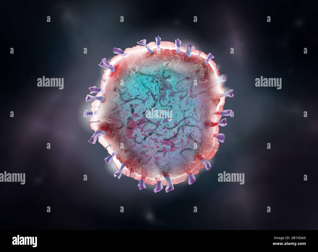 Il coronavirus a RNA a filamento singolo infetterà uccelli e molti mammiferi, inclusi gli esseri umani Foto Stock