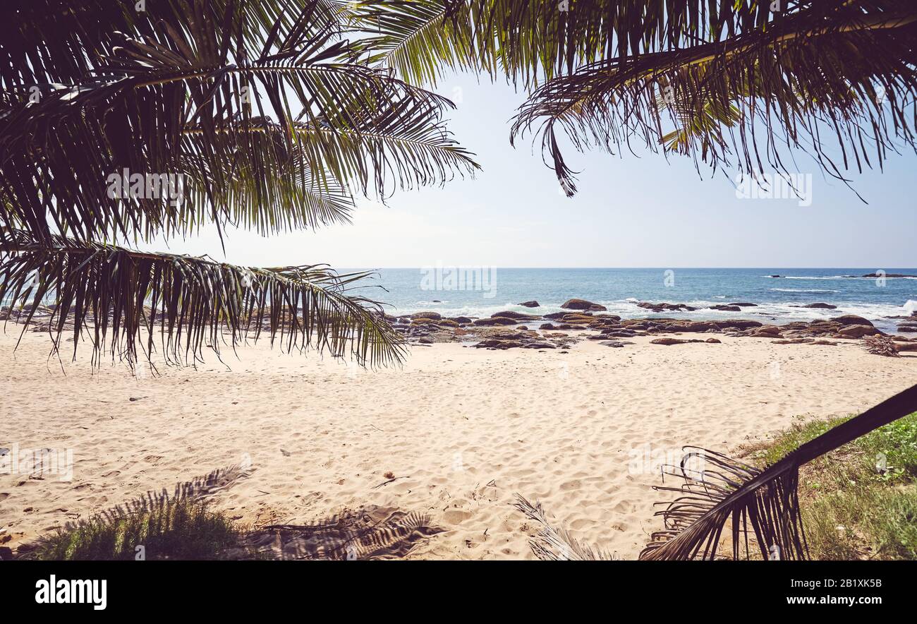Foglie di palma contro il sole su una spiaggia tropicale, immagine colorata. Foto Stock