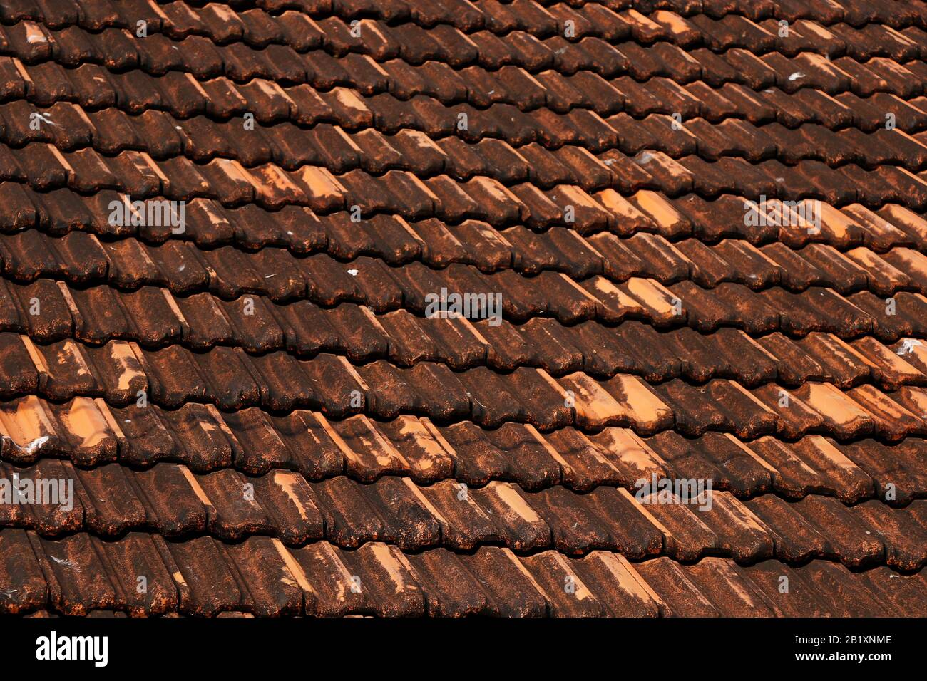 vecchio dettaglio di tessitura tegole tetto Foto Stock