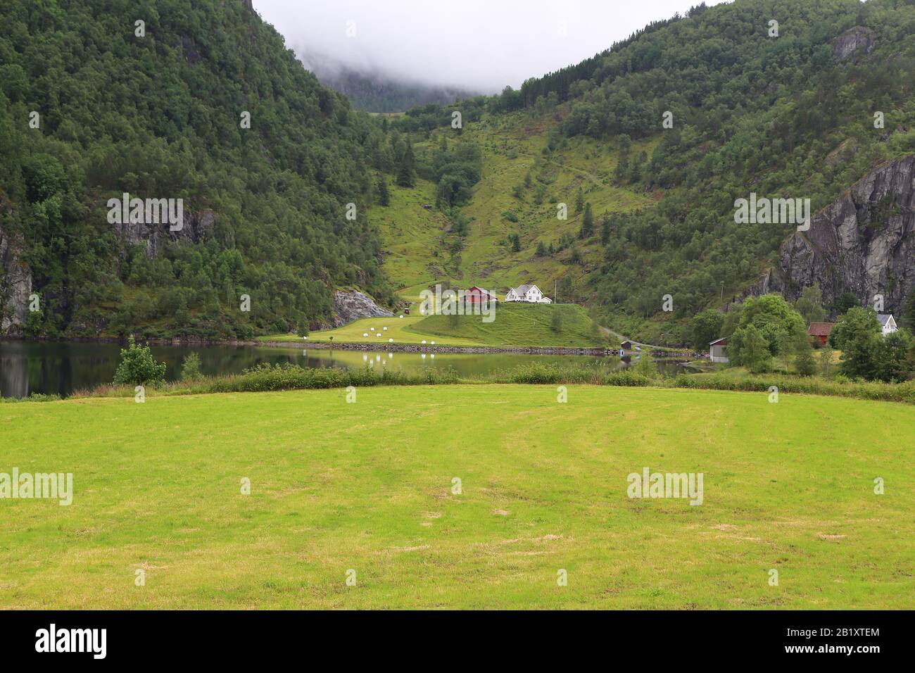 Bella natura Norvegia paesaggio naturale durante una giornata piovosa Foto Stock