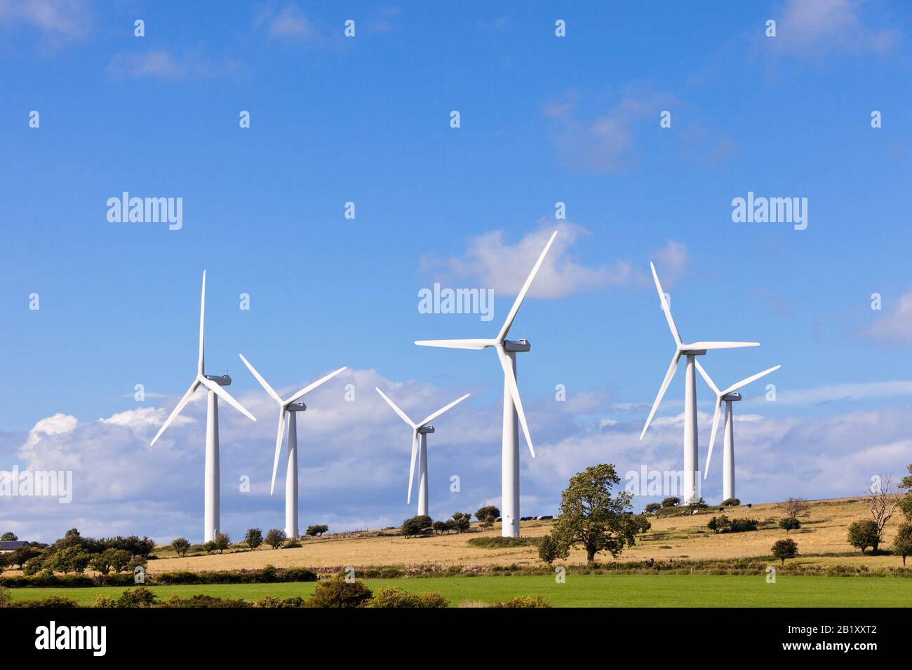 Parco eolico, Regno Unito, nell'Inghilterra rurale Foto Stock
